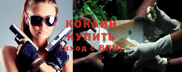 бошки Богородицк