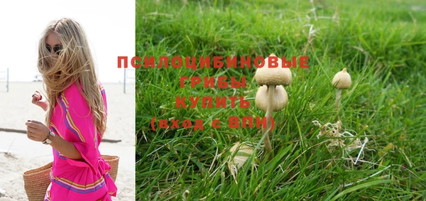 бошки Богородицк