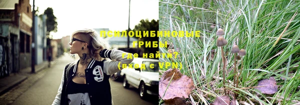 бошки Богородицк