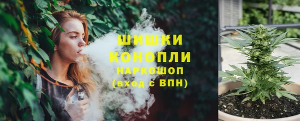стаф Богородск
