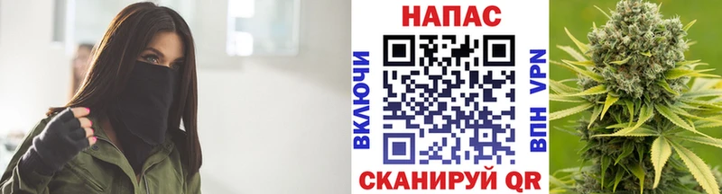 Бошки Шишки планчик Кузнецк